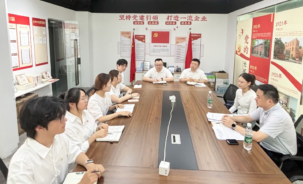 黨建引領聚合力，清風護航促發展——市委網信辦副主任杜巍蒞臨我司指導學習